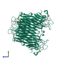Homo tetrameric assembly 1 of PDB entry 7mgb coloured by chemically distinct molecules, side view.