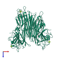 Homo tetrameric assembly 1 of PDB entry 7mgb coloured by chemically distinct molecules, top view.