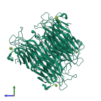 Homo tetrameric assembly 1 of PDB entry 7mgc coloured by chemically distinct molecules, side view.