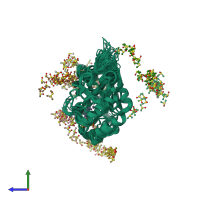 PDB entry 7mhm coloured by chain, ensemble of 43 models, side view.