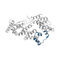 The deposited structure of PDB entry 7mk2 contains 2 copies of Pfam domain PF11900 (Domain of unknown function (DUF3420)) in Regulatory protein NPR1. Showing 1 copy in chain A.