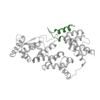 The deposited structure of PDB entry 7mk2 contains 2 copies of Pfam domain PF12313 (NPR1/NIM1 like defence protein C terminal) in Regulatory protein NPR1. Showing 1 copy in chain A.