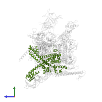 RNA polymerase sigma factor RpoD in PDB entry 7mke, assembly 1, side view.