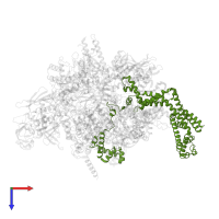 RNA polymerase sigma factor RpoD in PDB entry 7mke, assembly 1, top view.