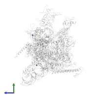 ZINC ION in PDB entry 7mki, assembly 1, side view.