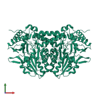 Cysteine desulfurase-like protein ustD in PDB entry 7mkv, assembly 1, front view.