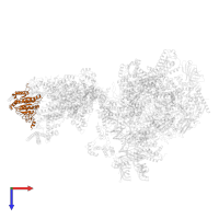 General transcription and DNA repair factor IIH subunit TFB4 in PDB entry 7ml1, assembly 1, top view.