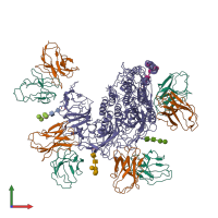 Hetero dodecameric assembly 1 of PDB entry 7mlv coloured by chemically distinct molecules, front view.