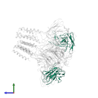 3D1 Fab Light Chain in PDB entry 7mlv, assembly 1, side view.