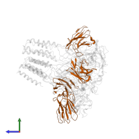 3D1 Fab Heavy Chain in PDB entry 7mlv, assembly 1, side view.