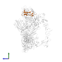 Neuregulin-1 in PDB entry 7mn8, assembly 1, side view.