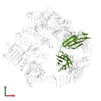 Trastuzumab Fab Heavy Chain in PDB entry 7mn8, assembly 1, front view.