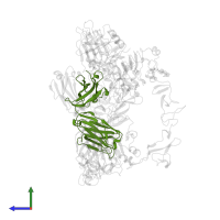 Trastuzumab Fab Heavy Chain in PDB entry 7mn8, assembly 1, side view.