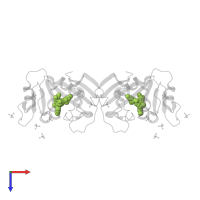 3'-[(2S)-4-(2,4-diamino-6-ethylpyrimidin-5-yl)but-3-yn-2-yl]-4'-methyl[1,1'-biphenyl]-4-carboxamide in PDB entry 7mqp, assembly 1, top view.