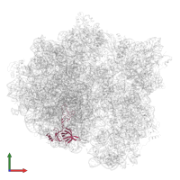 Large ribosomal subunit protein uL3 in PDB entry 7msh, assembly 1, front view.