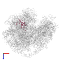 Large ribosomal subunit protein uL3 in PDB entry 7msh, assembly 1, top view.