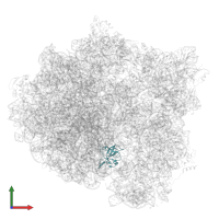 Large ribosomal subunit protein uL14 in PDB entry 7msz, assembly 1, front view.