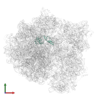 Large ribosomal subunit protein bL25 in PDB entry 7msz, assembly 1, front view.