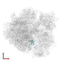 Large ribosomal subunit protein uL14 in PDB entry 7mt7, assembly 1, front view.