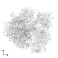 Large ribosomal subunit protein bL36 in PDB entry 7mt7, assembly 1, front view.