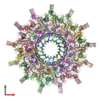 PDB entry 7mus coloured by chain, front view.