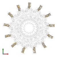 Putative auto-transporter adhesin head GIN domain-containing protein in PDB entry 7mus, assembly 1, front view.