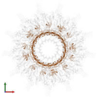 Type IV secretion protein IcmK in PDB entry 7muv, assembly 1, front view.