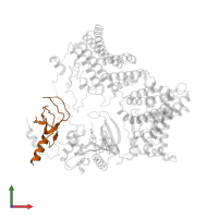 N-alpha-acetyltransferase 38, NatC auxiliary subunit in PDB entry 7mx2, assembly 1, front view.