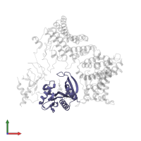 N-alpha-acetyltransferase 30 in PDB entry 7mx2, assembly 1, front view.