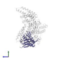 N-alpha-acetyltransferase 30 in PDB entry 7mx2, assembly 1, side view.