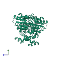 tRNA (guanine-N(1)-)-methyltransferase in PDB entry 7myq, assembly 1, side view.