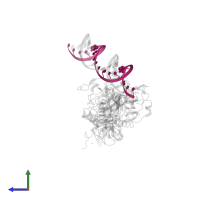 RNA (24-MER) in PDB entry 7n0c, assembly 1, side view.