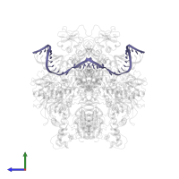 RNA (5'-R(*GP*GP*GP*GP*AP*UP*GP*UP*GP*AP*UP*UP*UP*UP*AP*AP*UP*AP*G)-3') in PDB entry 7n0d, assembly 1, side view.