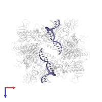 RNA (5'-R(*GP*GP*GP*GP*AP*UP*GP*UP*GP*AP*UP*UP*UP*UP*AP*AP*UP*AP*G)-3') in PDB entry 7n0d, assembly 1, top view.