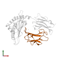 Beta-2-microglobulin in PDB entry 7n5q, assembly 2, front view.