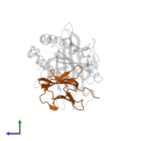 Beta-2-microglobulin in PDB entry 7n5q, assembly 2, side view.