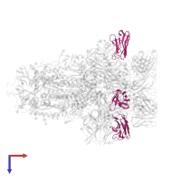 S2L20 Fab Light Chain variable region in PDB entry 7n8h, assembly 1, top view.