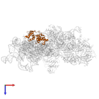 Small ribosomal subunit protein uS4 in PDB entry 7nas, assembly 1, top view.