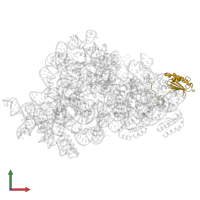 Small ribosomal subunit protein uS11 in PDB entry 7nas, assembly 1, front view.