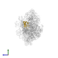 Small ribosomal subunit protein uS11 in PDB entry 7nas, assembly 1, side view.