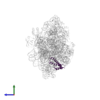 Small ribosomal subunit protein uS15 in PDB entry 7nas, assembly 1, side view.