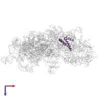 Small ribosomal subunit protein uS15 in PDB entry 7nas, assembly 1, top view.