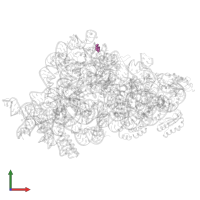 Modified residue PSU in PDB entry 7nas, assembly 1, front view.