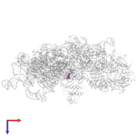 Modified residue PSU in PDB entry 7nas, assembly 1, top view.