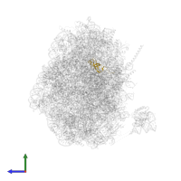 Large ribosomal subunit protein eL42 in PDB entry 7nfx, assembly 1, side view.