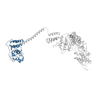 The deposited structure of PDB entry 7ngq contains 6 copies of Pfam domain PF02190 (ATP-dependent protease La (LON) substrate-binding domain) in Lon protease homolog, mitochondrial. Showing 1 copy in chain A.