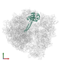 ABC-F type ribosomal protection protein Lsa(A) in PDB entry 7nhk, assembly 1, front view.