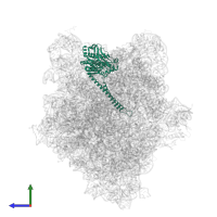 ABC-F type ribosomal protection protein Lsa(A) in PDB entry 7nhk, assembly 1, side view.