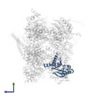 Proteasome subunit beta type-2 in PDB entry 7nht, assembly 1, side view.