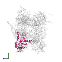 Proteasome subunit alpha type-5 in PDB entry 7nht, assembly 1, side view.